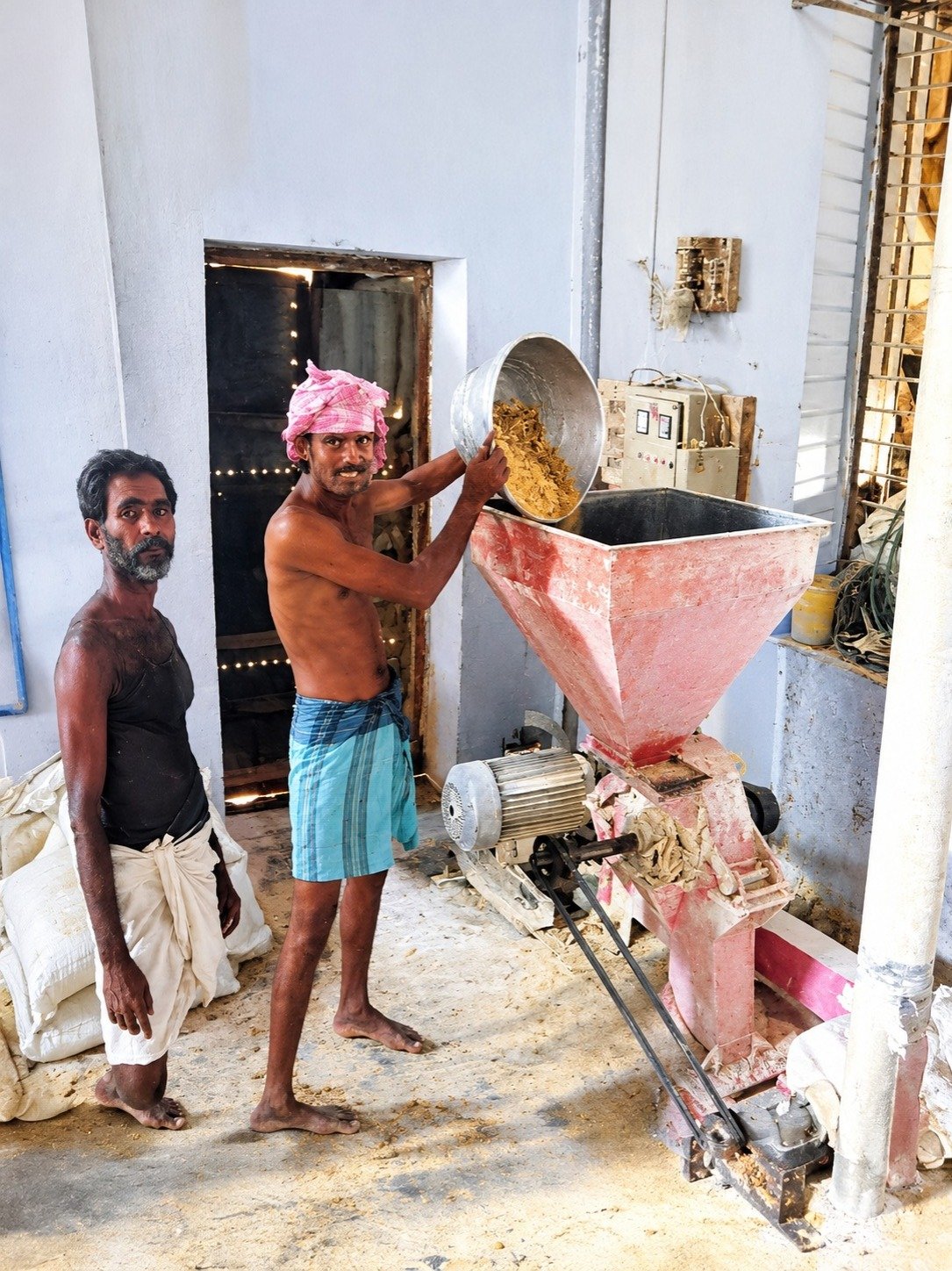 Dairy cows feeding at a trough on an Annai Cattle Feeds partner farm