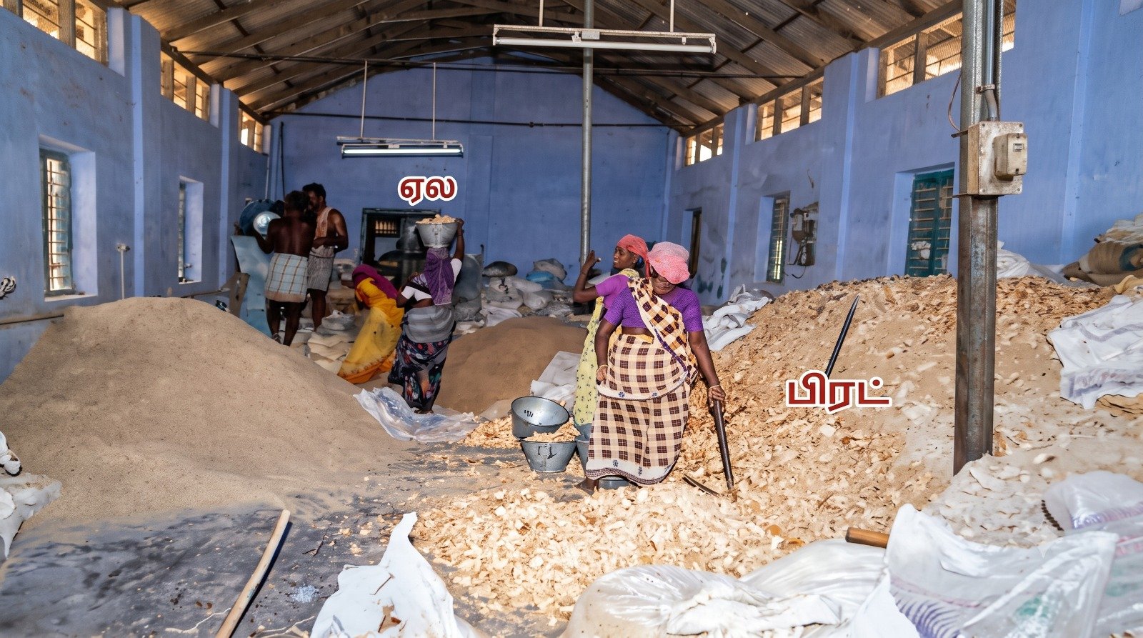 Wholesale cattle feed warehouse with stacked jute sacks and forklift